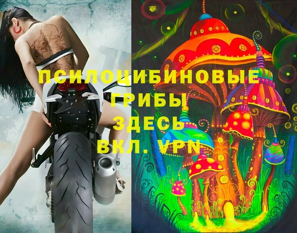 COCAINE Бородино