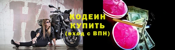 шишки Богородск