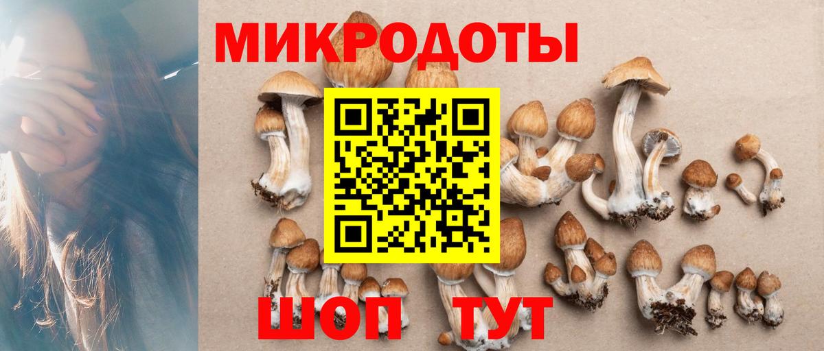Галлюциногенные грибы прущие грибы Выборг