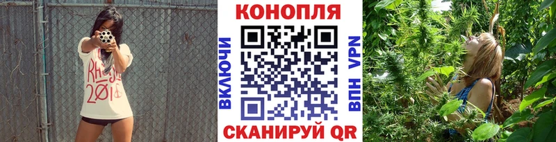 сколько стоит Выборг дарк нет телеграм Шишки марихуана Ganja omg зеркало