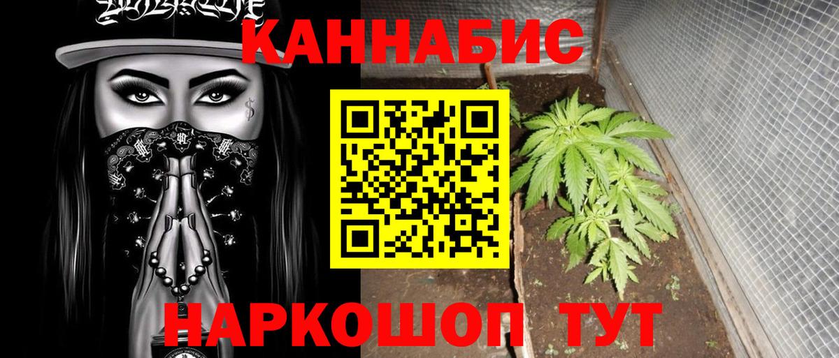 Конопля Amnesia  Шишки марихуана планчик  Выборг  Вход с VPN  Бошки Шишки VHQ 